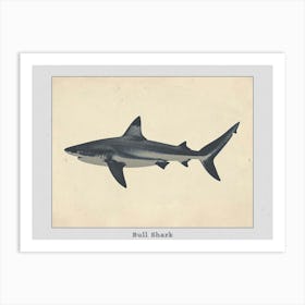 Bull Shark Grey Silhouette 8 Poster Art Print