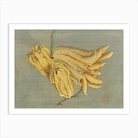 Chinese Bananas Art Print