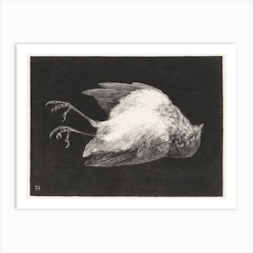 Dead Robin (1895), Theo Van Hoytema Art Print