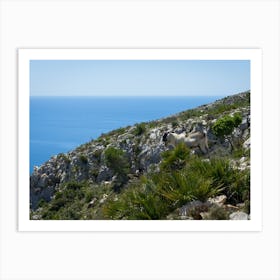 Goats on the mountainside near the Mediterranean coast Art Print