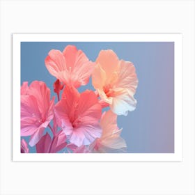 Pink Flowers On A Blue Background Art Print