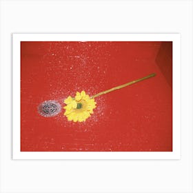 Sunflower Pop Art Red Shower Vintage Abstract Film Photography Wall Art Print Art Print