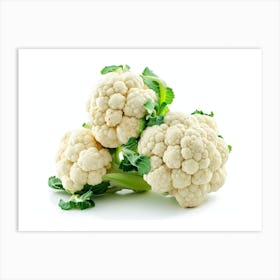 Cauliflower 5 Art Print