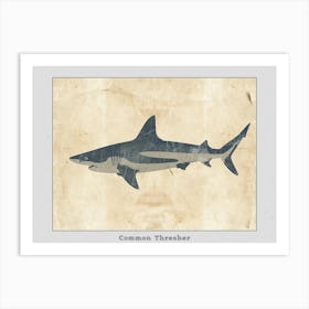 Common Thresher Shark Silhouette 3 Poster Art Print
