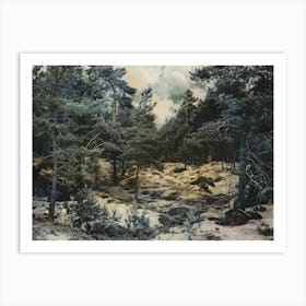 Vintage Forest Photo Collage 3 Art Print