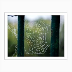 Tangled Webs Art Print