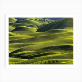 Rice Fields Art Print