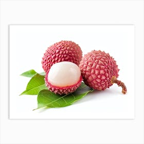 Lychee Fruit 15 Art Print