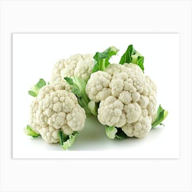 Cauliflower 15 Art Print