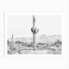 Vintage Cactus Landscape Art Print