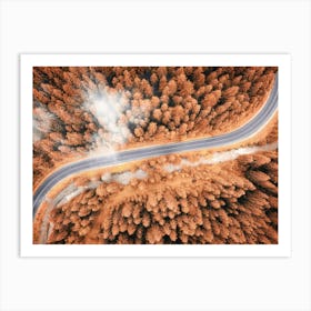 Aerial View Of A Winding Road Through Pine Forest Art Print