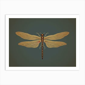 Dragonfly Common Whitetail Plathemis Illustration Vintage 3 Art Print