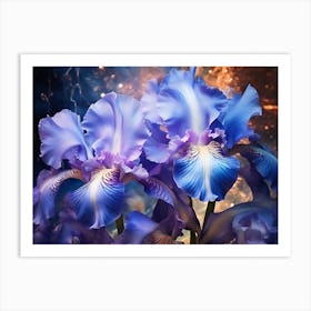 Blue Iris 1 Art Print