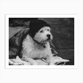 Homeless Dog Art Print