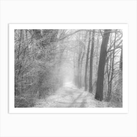 Foggy forest path in winter Art Print