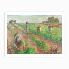 The Beet Harvest (1881), Camille Pissarro Art Print