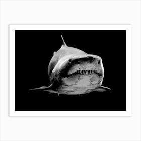 Shark BW in my Line Illustration Art Print