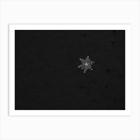 Snowflake Art Print