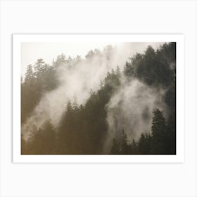 Misty Forest - Redwood National Park Nature Art Print