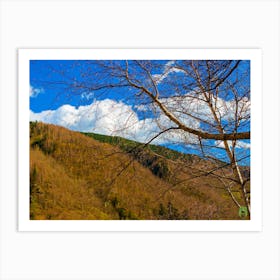 Birch Trees In The Mountains 20230415171927pub Art Print