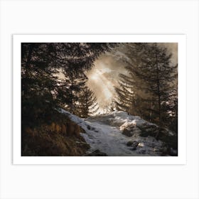 Winter Forest Trail Art Print