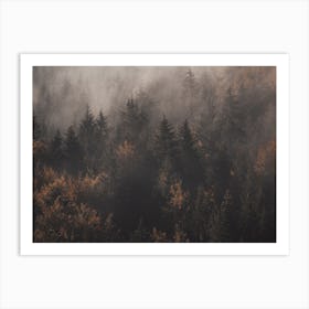 Misty Autumn Forest Art Print