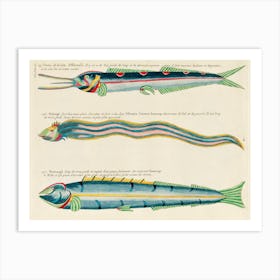 Colourful And Surreal Illustrations Of Fishes Found In Moluccas (Indonesia) And The East Indies By Louis Renard(95) Art Print