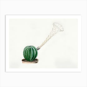 Cactus Watering Art Print