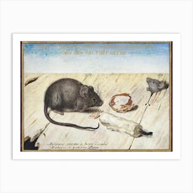 Two Mice (1594), Joris Hoefnagel Art Print