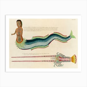 Illustrations Of A Siren And Lobster Found In The Moluccas (Indonesia) And The East Indies, Louis Renard(81) Art Print