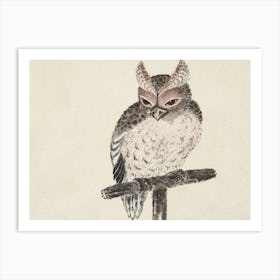 Katsushika Hokusai Owl On A Branch Art Print