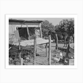 Hog House And Chicken Coop Of Hidalgo County, Texas, Farm By Russell Lee Art Print