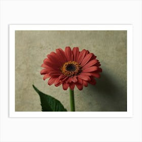 Red Gerbera Flower Art Print