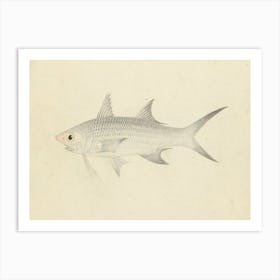 Binney Number One (A Fish), Luigi Balugan Art Print