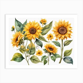 Sunflowers 6 Art Print