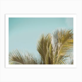 Warm Summer Palm Leaf Art Print