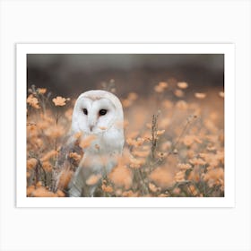 Barn Owl In Flower Field Art Print