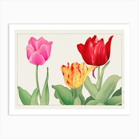 Tulips Art Print