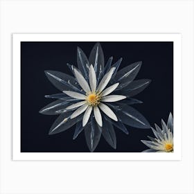 Water Lilies Art Print