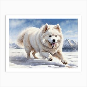 Samoyed Frolicking In The Snow Art Print