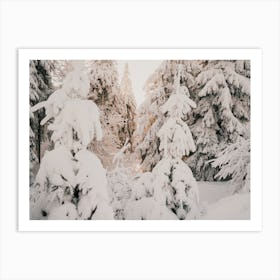 Winter Forest Art Print