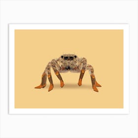 Lydia The Leggiest Cowgirl Spider Art Print