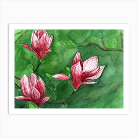 Magnolia Art Print