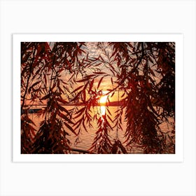 Sunset Over The Lake Art Print