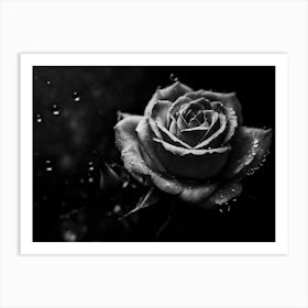 Black And White Rose Art Print