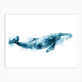 Humpback Whale Art Print