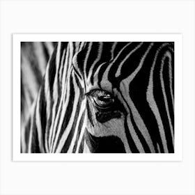 Abstract Zebra Art Print