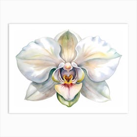 Monkey Orchid Flowers Art Print