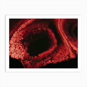 Red - Blood Cell Art Print