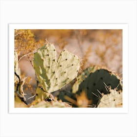 Cactus Heart Art Print